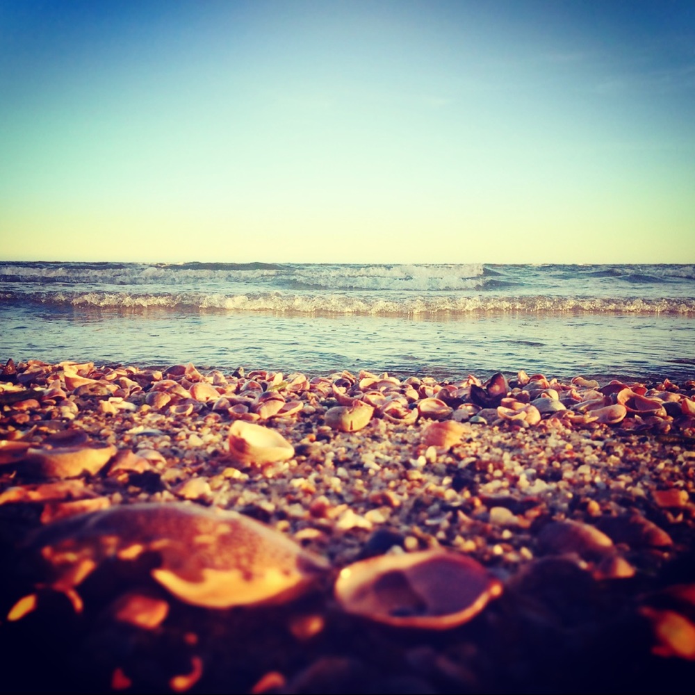 Meet your Posher, Marisa